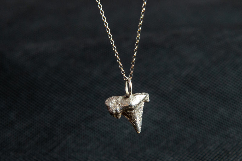 Ugly Dude - Shark Tooth Pendant