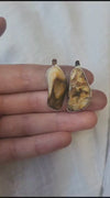Peanut wood earrings