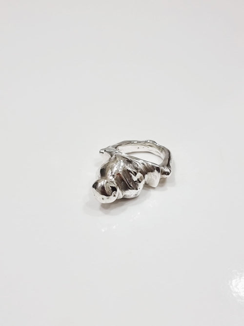 Rock Ring